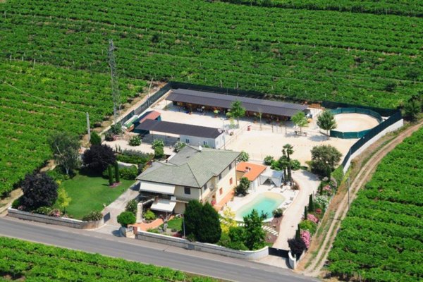 villa in vendita a Monteforte d'Alpone