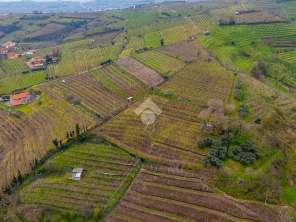 terreno agricolo in vendita a Monteforte d'Alpone in zona Brognoligo