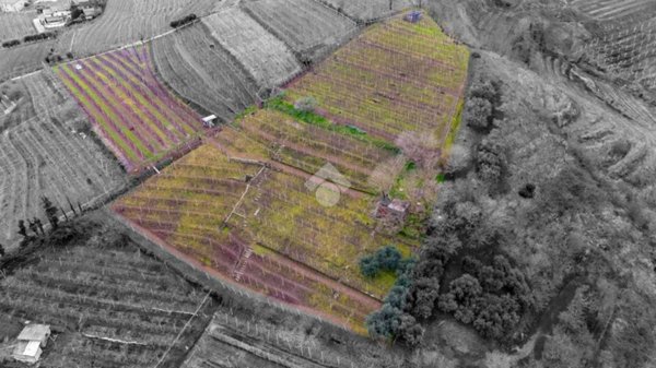 terreno agricolo in vendita a Monteforte d'Alpone in zona Brognoligo
