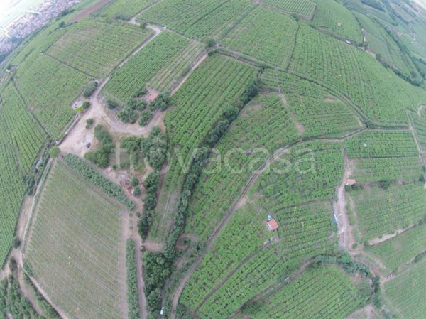 terreno agricolo in vendita a Monteforte d'Alpone