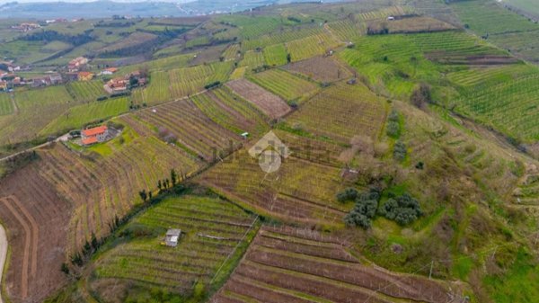 terreno agricolo in vendita a Monteforte d'Alpone in zona Brognoligo
