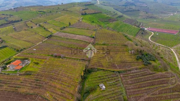 terreno agricolo in vendita a Monteforte d'Alpone in zona Brognoligo