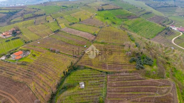 terreno agricolo in vendita a Monteforte d'Alpone in zona Brognoligo