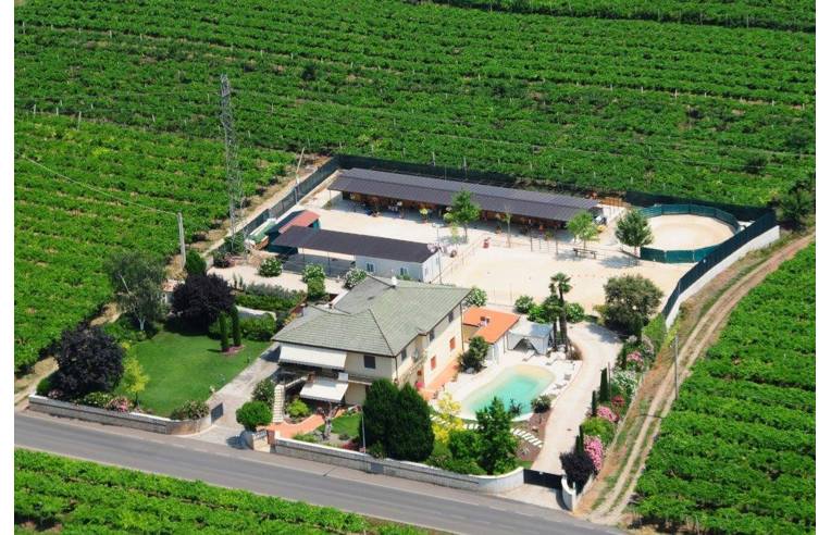 villa in vendita a Monteforte d'Alpone