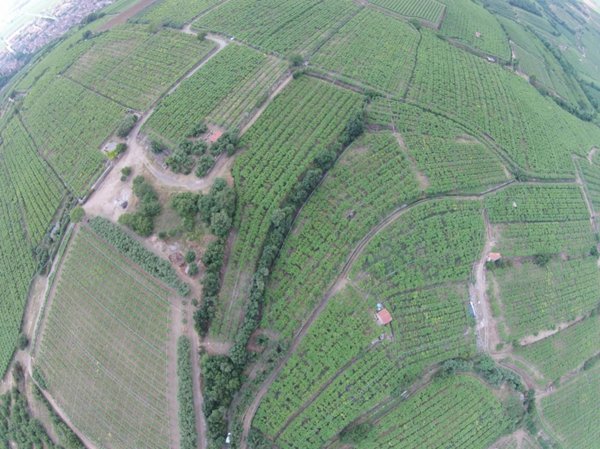 terreno edificabile in vendita a Monteforte d'Alpone