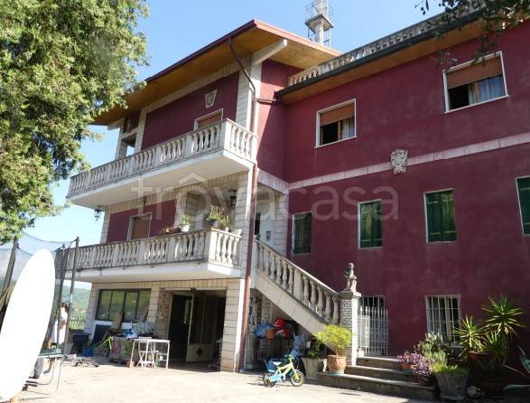 terreno edificabile in vendita a Monteforte d'Alpone