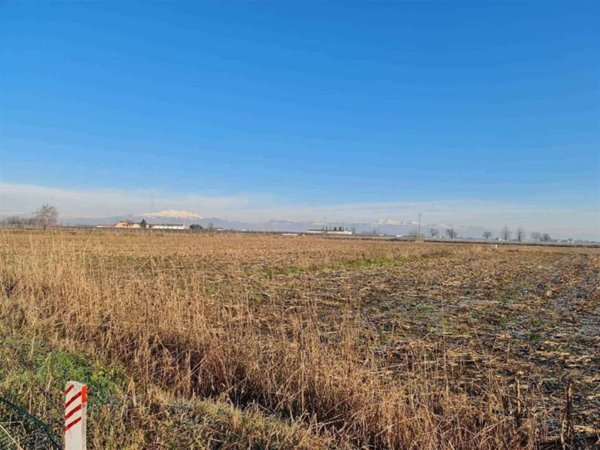 terreno agricolo in vendita a Mozzecane in zona San Zeno