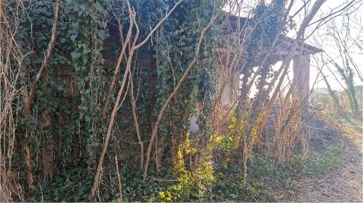 pentavano in vendita a Mozzecane