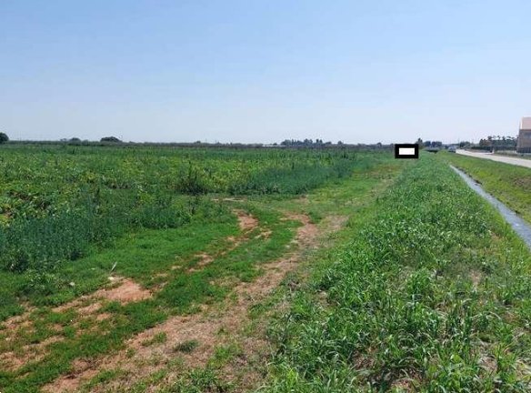 terreno agricolo in vendita a Mozzecane in zona Quistello