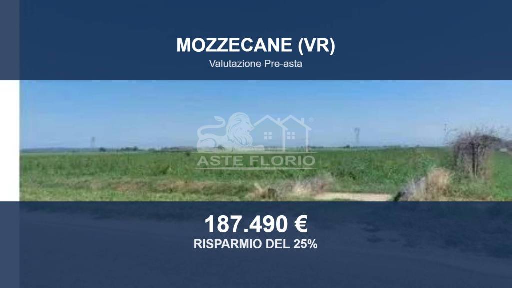 terreno agricolo in vendita a Mozzecane in zona Quistello