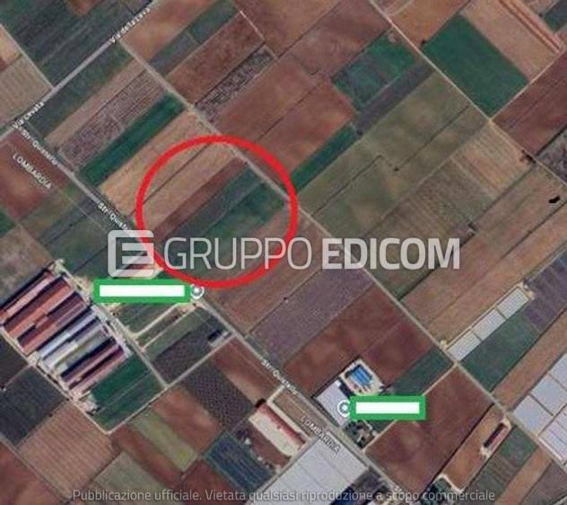 terreno agricolo in vendita a Mozzecane