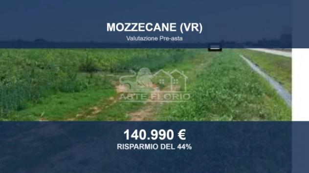 terreno agricolo in vendita a Mozzecane in zona Quistello
