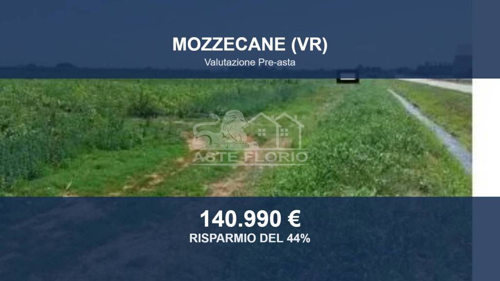 terreno agricolo in vendita a Mozzecane in zona Quistello