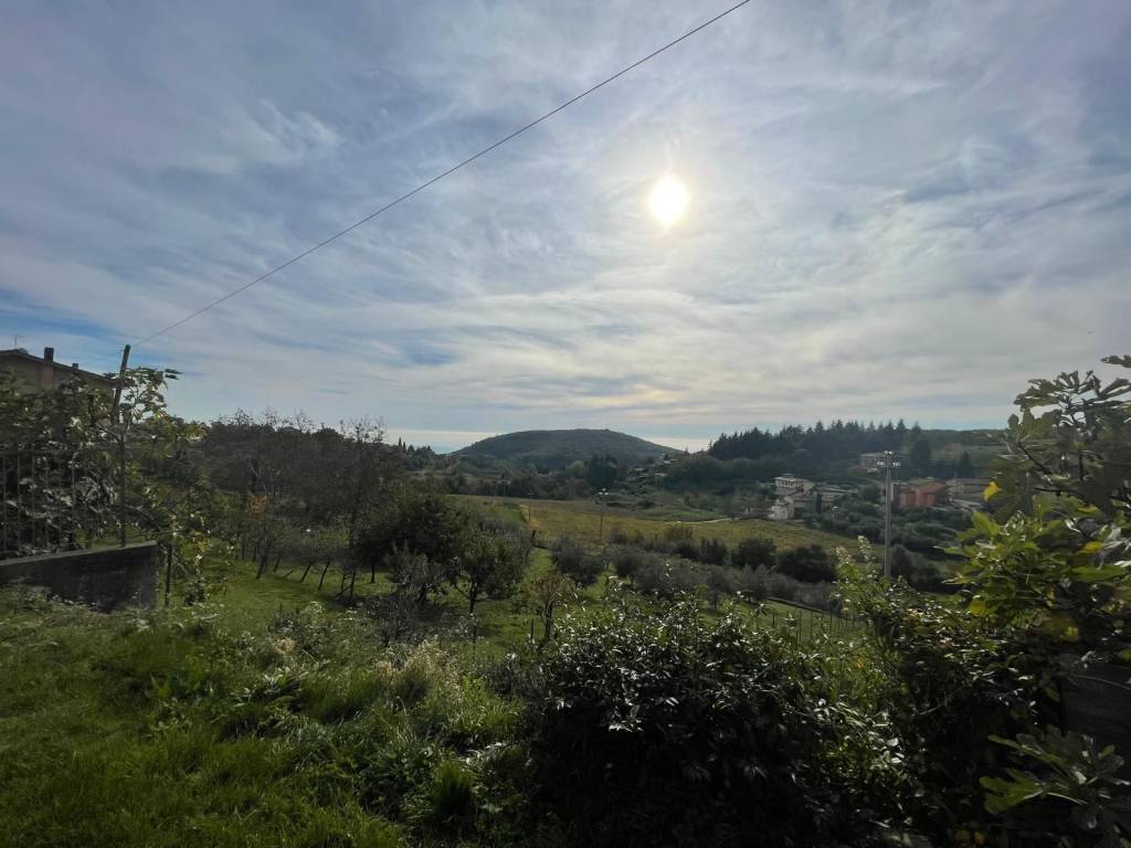 casa indipendente in vendita a Negrar di Valpolicella in zona Montecchio