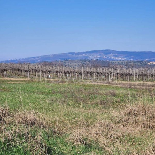 terreno agricolo in vendita a Negrar di Valpolicella