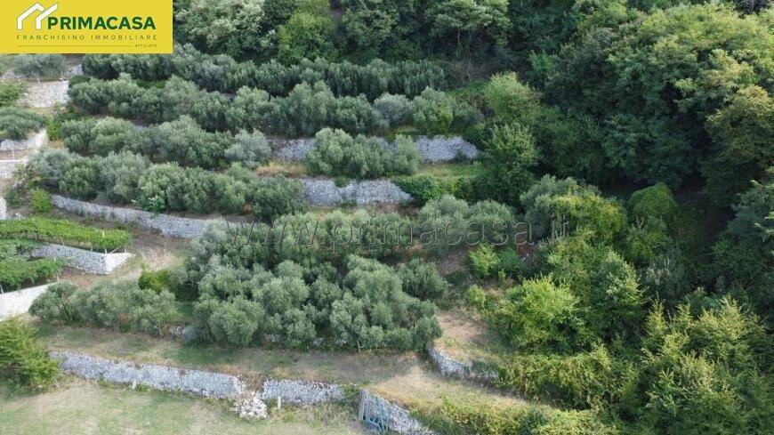 terreno agricolo in vendita a Negrar di Valpolicella