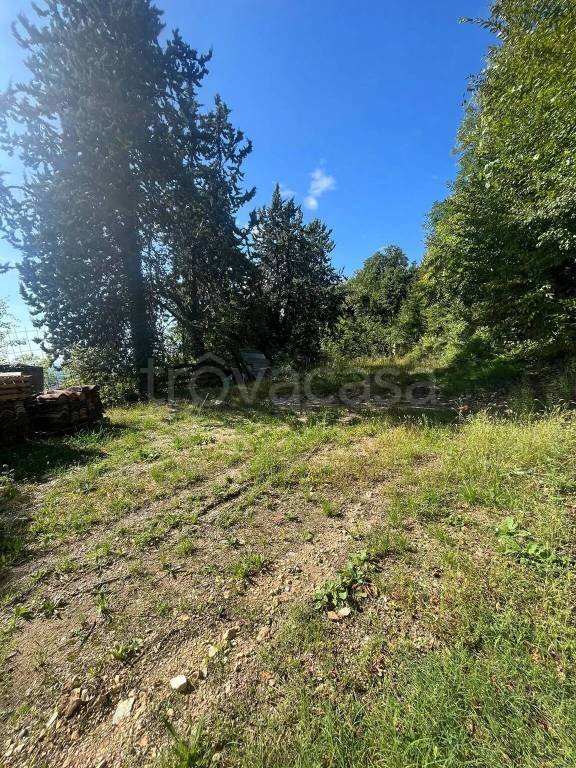 terreno agricolo in vendita a Negrar di Valpolicella