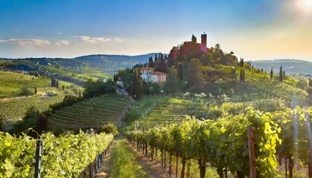 terreno agricolo in vendita a Negrar di Valpolicella