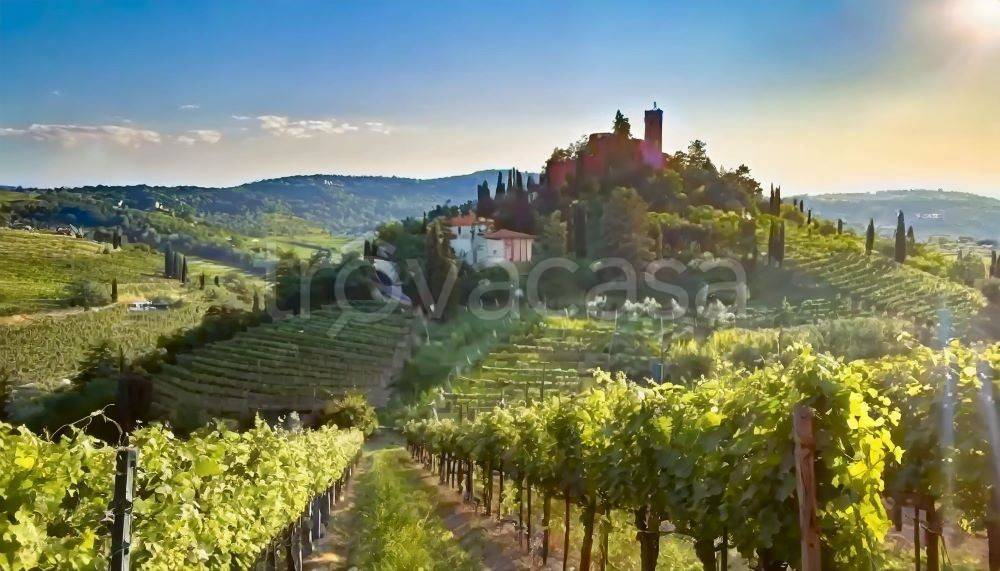 terreno agricolo in vendita a Negrar di Valpolicella