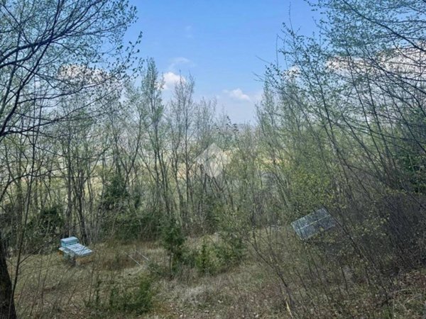 terreno agricolo in vendita a Negrar di Valpolicella