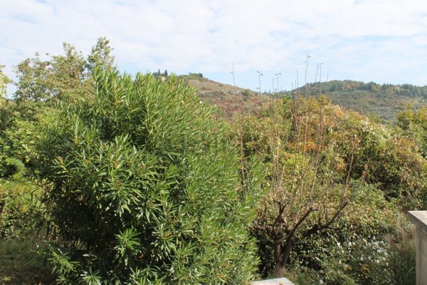 casa indipendente in vendita a Negrar di Valpolicella