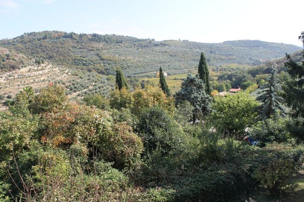 casa indipendente in vendita a Negrar di Valpolicella