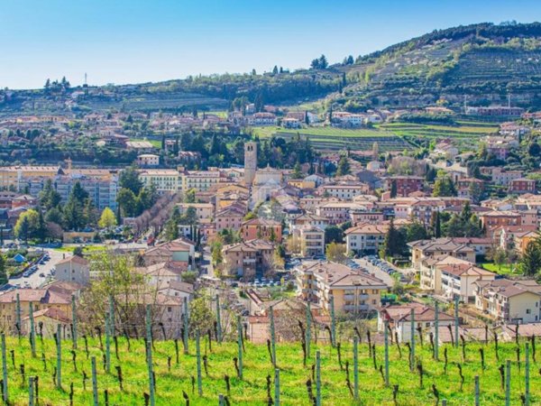 terreno edificabile in vendita a Negrar di Valpolicella