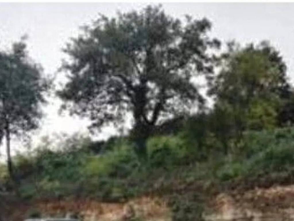 terreno edificabile in vendita a Negrar di Valpolicella in zona Arbizzano