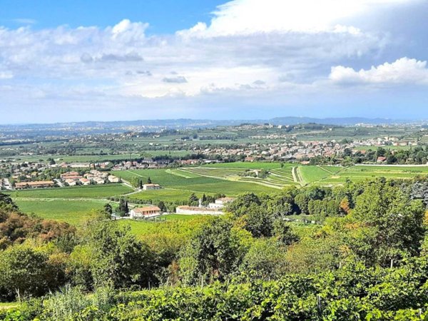 casa indipendente in vendita a Negrar di Valpolicella in zona Arbizzano