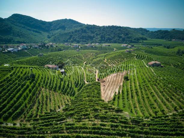 appartamento in vendita a Negrar di Valpolicella
