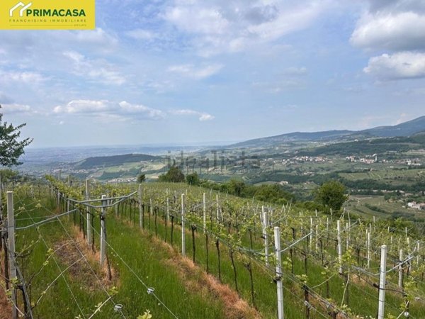 locale di sgombero in vendita a Negrar di Valpolicella