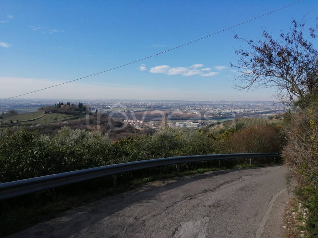 terreno agricolo in vendita a Negrar di Valpolicella