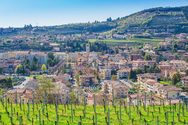 terreno edificabile in vendita a Negrar di Valpolicella