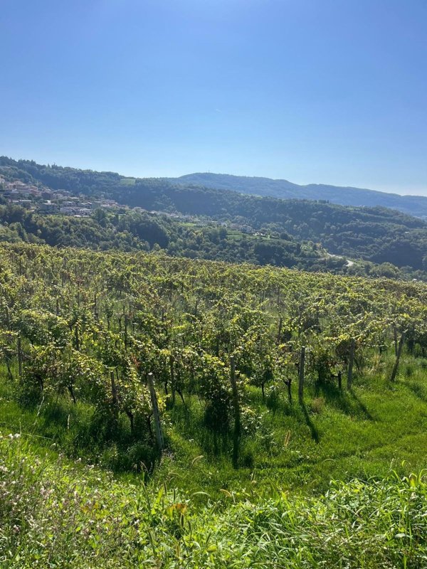 casale in vendita a Negrar di Valpolicella