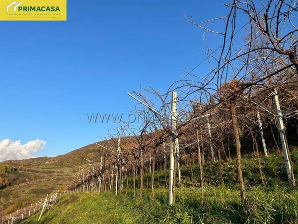 terreno agricolo in vendita a Negrar di Valpolicella