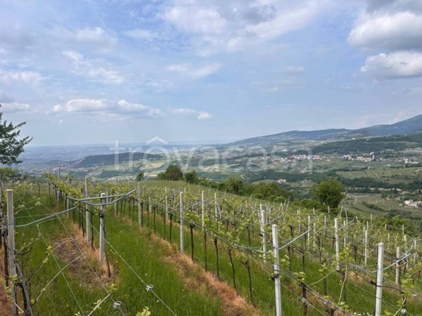 terreno agricolo in vendita a Negrar di Valpolicella