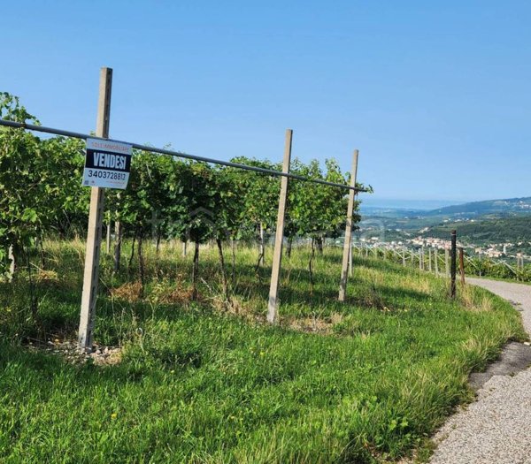 terreno agricolo in vendita a Negrar di Valpolicella