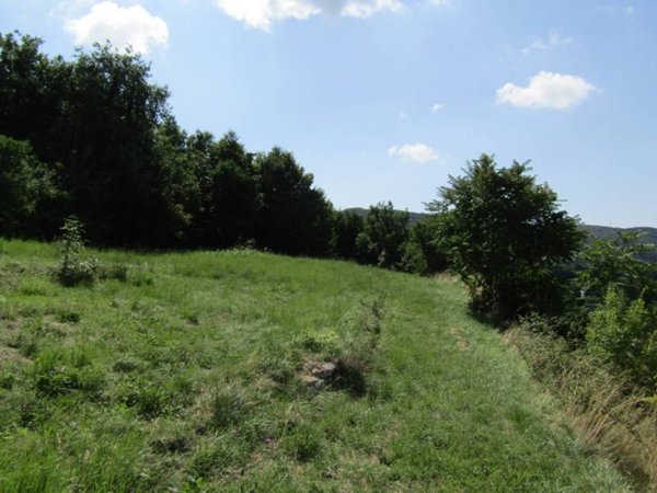 terreno agricolo in vendita a Negrar di Valpolicella
