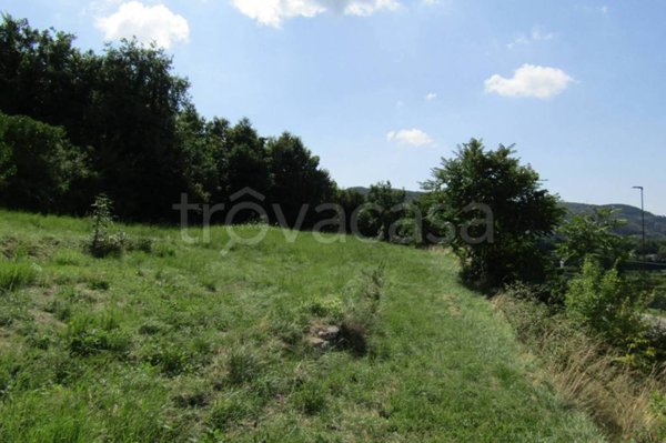 terreno agricolo in vendita a Negrar di Valpolicella