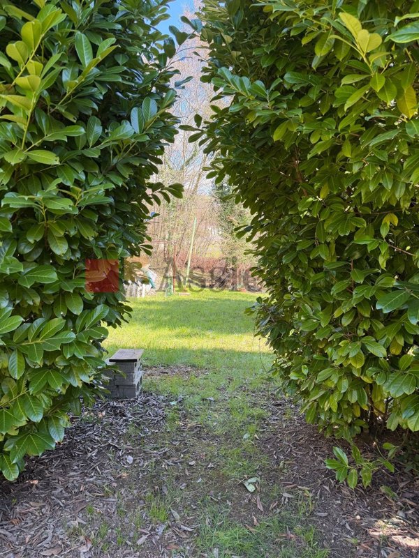 terreno agricolo in vendita a Negrar di Valpolicella in zona Montecchio