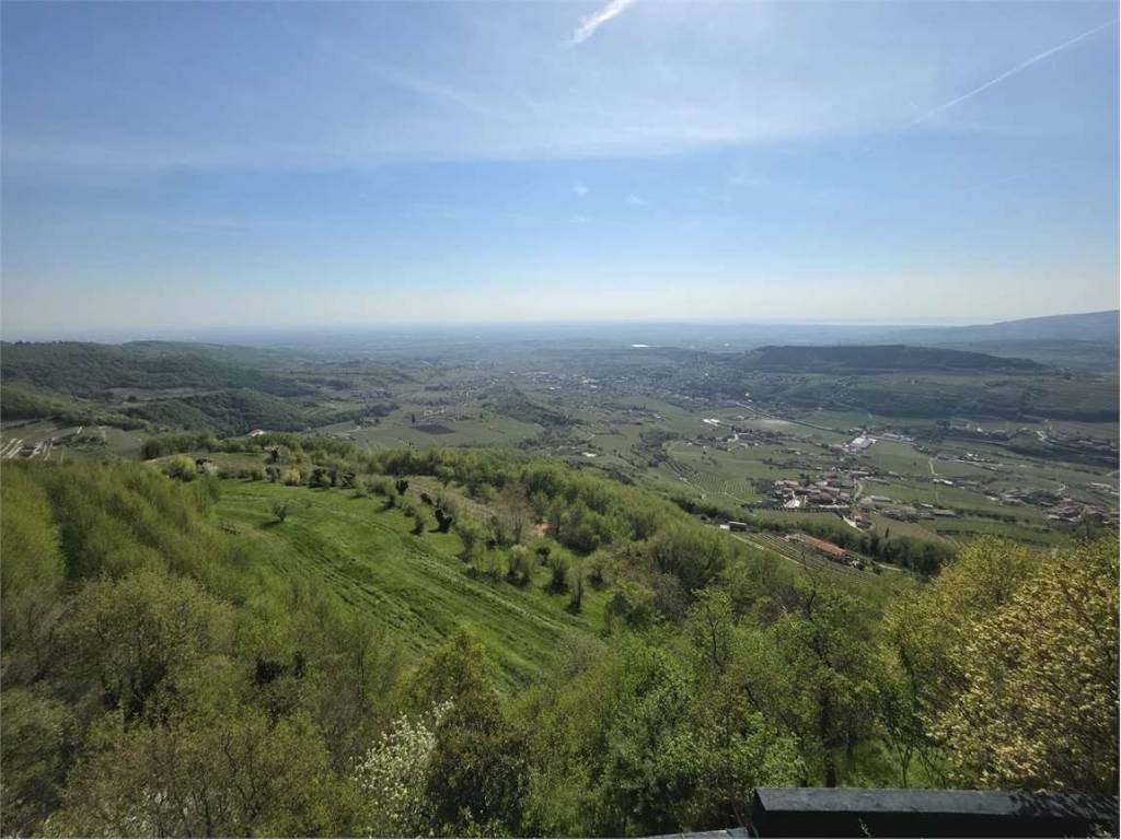 terreno agricolo in vendita a Negrar di Valpolicella