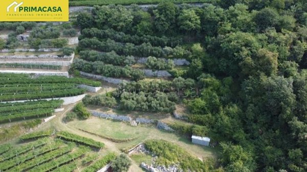 terreno agricolo in vendita a Negrar di Valpolicella in zona Montecchio