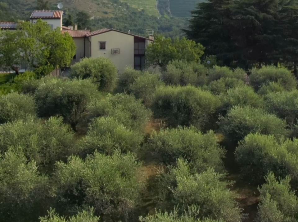 casa indipendente in vendita a Negrar di Valpolicella in zona Arbizzano