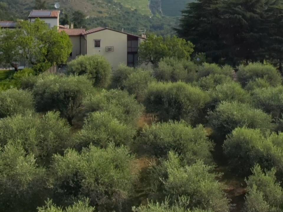 casa indipendente in vendita a Negrar di Valpolicella