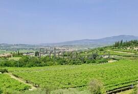 casa indipendente in vendita a Negrar di Valpolicella