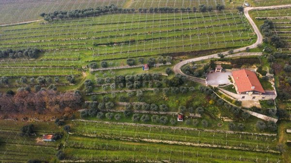 terreno in vendita a Negrar di Valpolicella in zona Jago