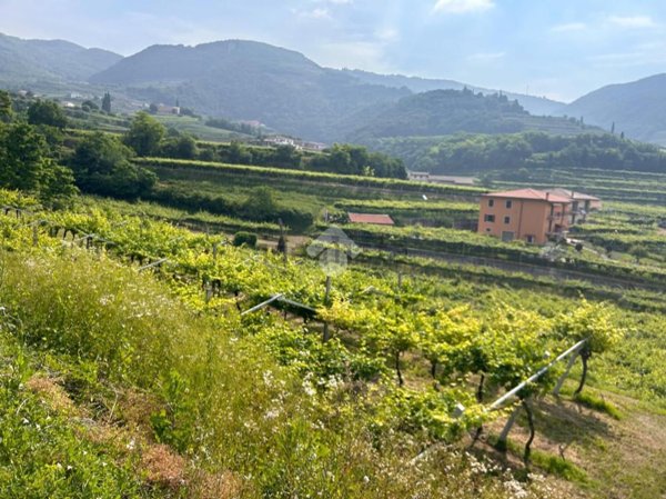 terreno in vendita a Negrar di Valpolicella in zona Fane