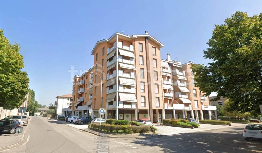 appartamento in vendita a Nogara
