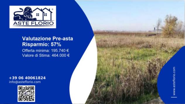 terreno agricolo in vendita a Nogara