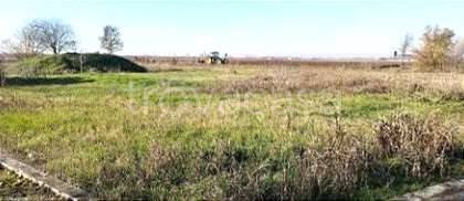 terreno agricolo in vendita a Nogara